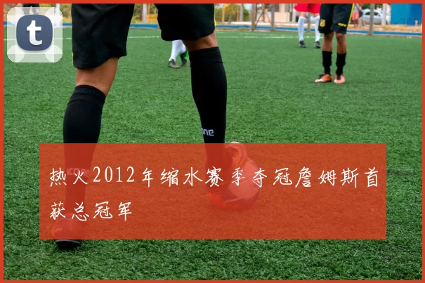 热火2012年缩水赛季夺冠詹姆斯首获总冠军